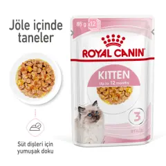Royal Canin Pouch Kitten Jöle İçinde Yavru Kedi Konservesi 85gr