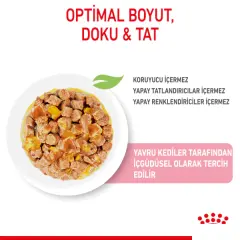 Royal Canin Pouch Kitten Jöle İçinde Yavru Kedi Konservesi 85gr
