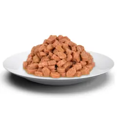 Jungle Pouch Tavuk Eti Parçalı Yavru Kedi Konservesi 100gr