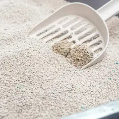 Enjoy Topaklanan Bebek Pudra Kokulu Bentonit Doğal Kedi Kumu 10lt