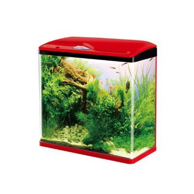 Sobo 300F-K Komple Akvaryum 30x19x33.5 cm Mavi